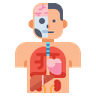 subject image